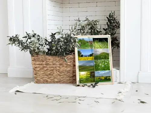 Natuurcollage Seizoenen Premium Print