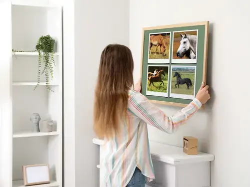 Dierenpolaroid Collage in de Natuur