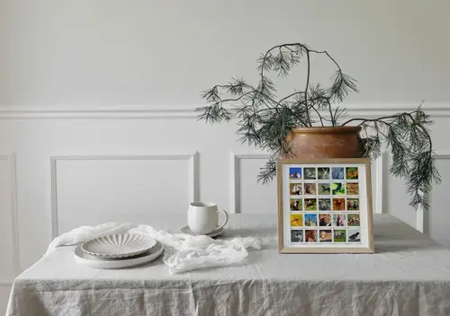 Dierenpolaroid Collage in de Natuur