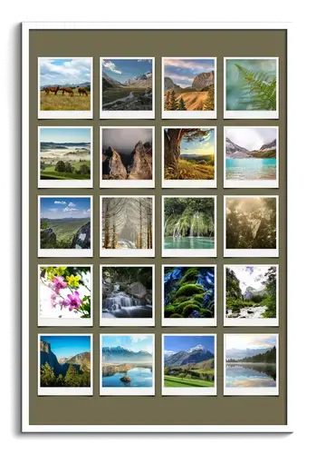 Polaroid-Collage: Natuur in Seizoenen