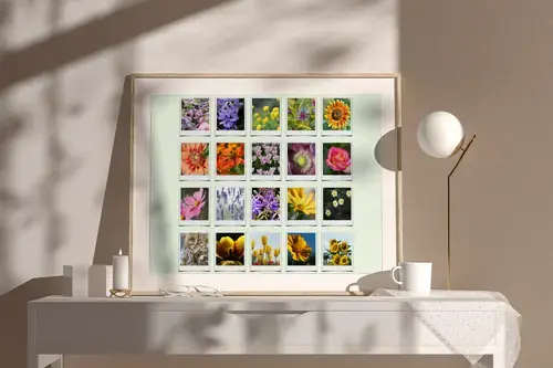 Polaroid-Collage: Natuur in Seizoenen