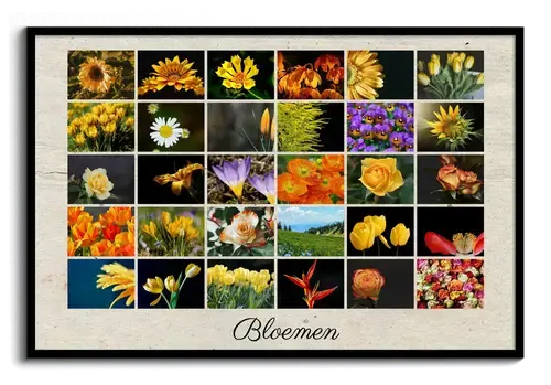 Fotocollage met eigen tekst geprint op poster of canvas