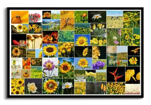 Creëer je eigen bloemenelegantie: Poster met wilde fotocollage, 61 beelden