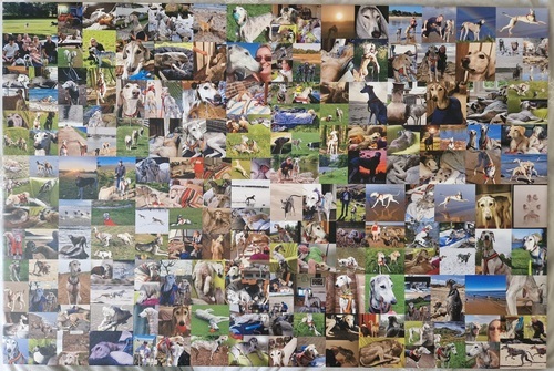 Klantfoto van Beverley voor beoordeling Afdruk Fotocollage Canvas 36x24"