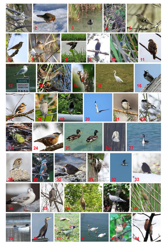 Klantfoto van Peter voor beoordeling Afdruk Fotocollage Poster 50x70cm