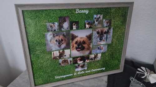 Klantfoto van Stefan voor beoordeling Afdruk Fotocollage Poster 40x30cm