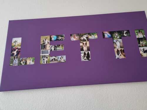 Klantfoto van Ulrike voor beoordeling Afdruk Fotocollage Canvas 100x50cm