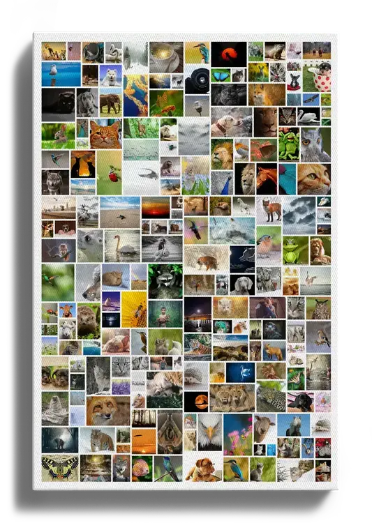Fotocollage op canvas in staand formaat met veel dieren- en natuurfoto’s in een speelse indeling