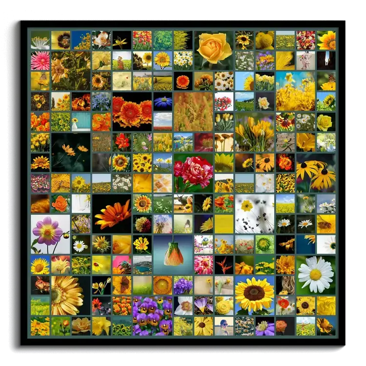 Vierkante fotocollage met veel kleurrijke bloemenfoto’s in vakken van verschillende formaten, in een zwarte lijst
