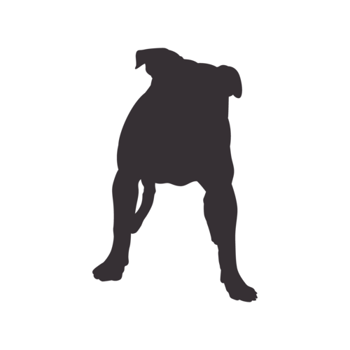 Hondensilhouet American Bully staand