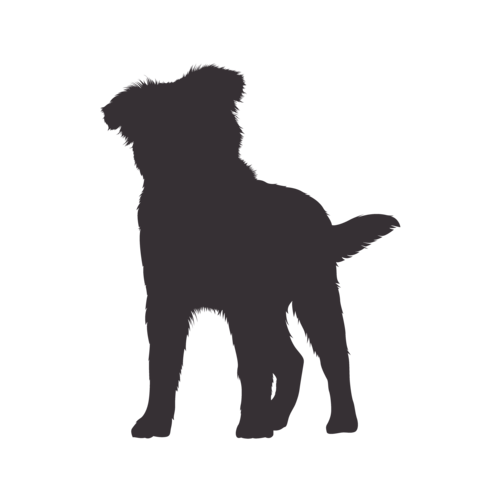 Hondensilhouet Australian Shepherd staand