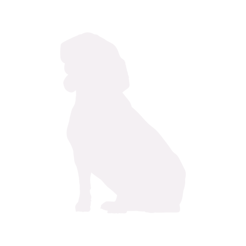 Hondensilhouet Beagle zittend