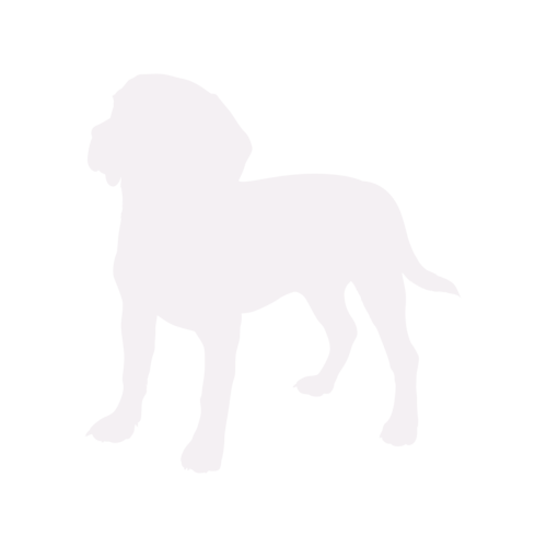 Hondensilhouet Beagle staand
