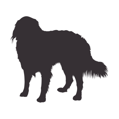 Hondensilhouet Berner Sennenhond staand