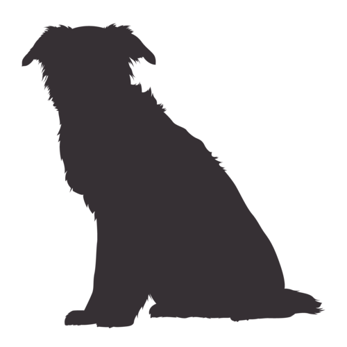 Hondensilhouet Border Collie zittend