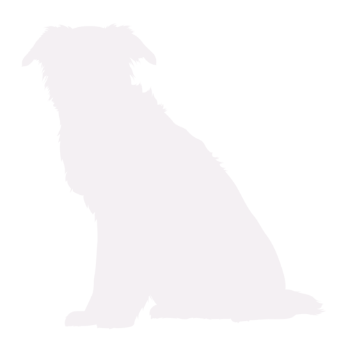 Hondensilhouet Border Collie zittend