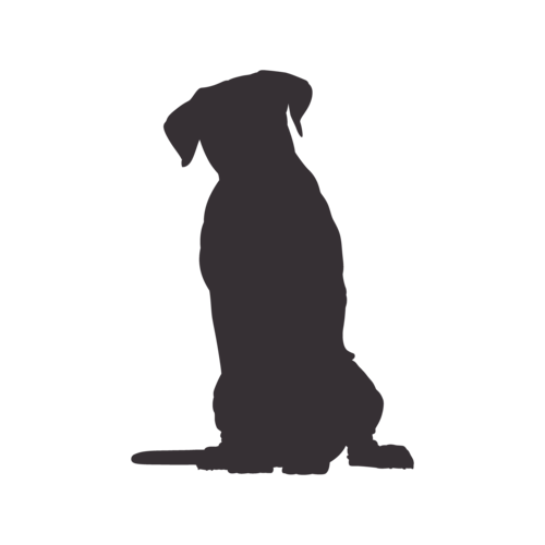 Hondensilhouet Cane Corso zittend