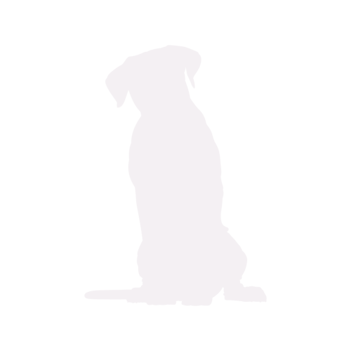 Hondensilhouet Cane Corso zittend