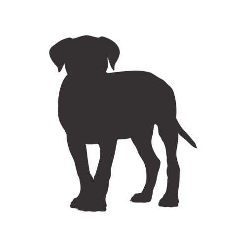 Hondensilhouet Cane Corso staand
