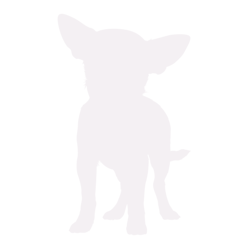 Hondensilhouet Chihuahua staand
