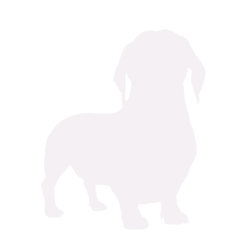 Hondensilhouet Teckel staand