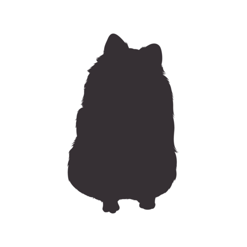 Hondensilhouet Dwergkeeshond zittend