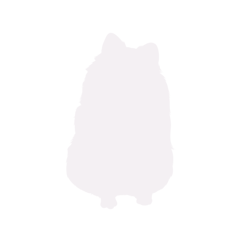 Hondensilhouet Dwergkeeshond zittend