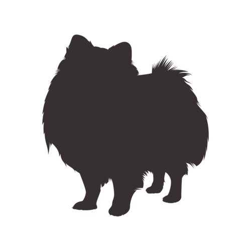 Hondensilhouet Dwergkeeshond staand