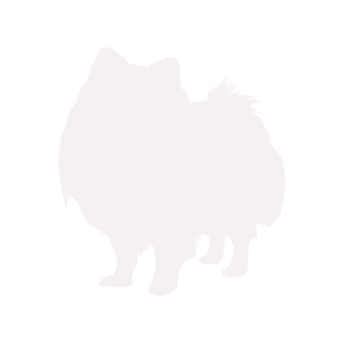 Hondensilhouet Dwergkeeshond staand