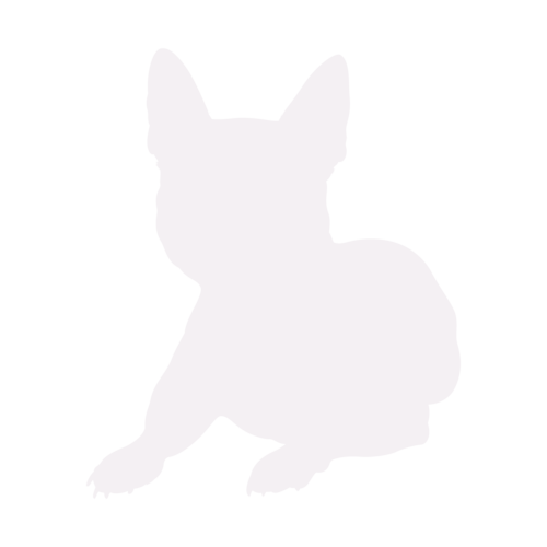 Hondensilhouet Franse Bulldog zittend