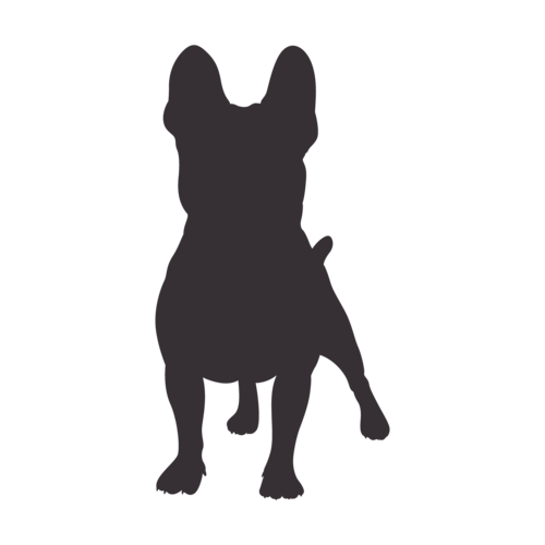 Hondensilhouet Franse Bulldog staand