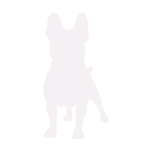 Hondensilhouet Franse Bulldog staand