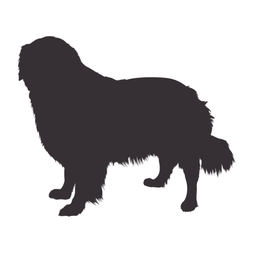 Hondensilhouet Golden Retriever staand