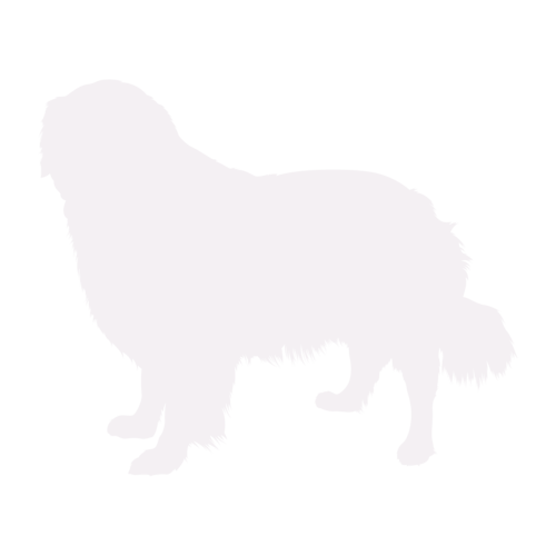 Hondensilhouet Golden Retriever staand