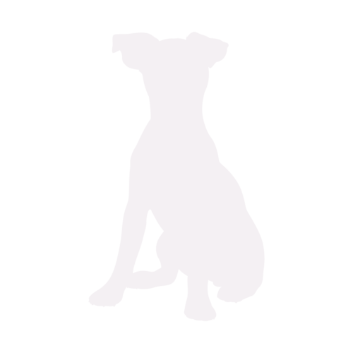 Hondensilhouet Jack Russell Terrier zittend