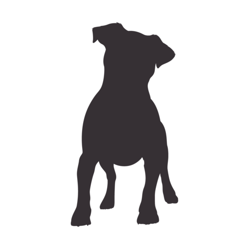 Hondensilhouet Jack Russell Terrier staand