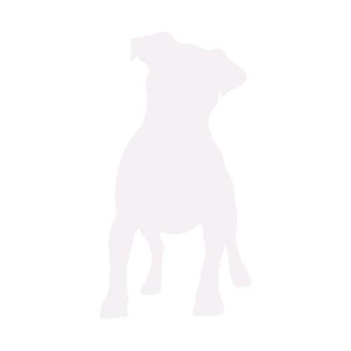 Hondensilhouet Jack Russell Terrier staand