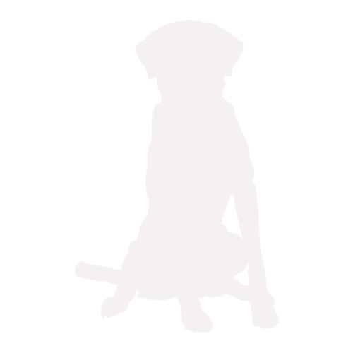 Hondensilhouet Labrador zittend