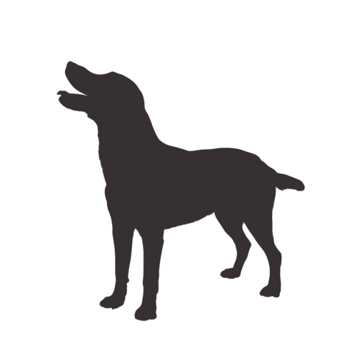 Hondensilhouet Labrador staand