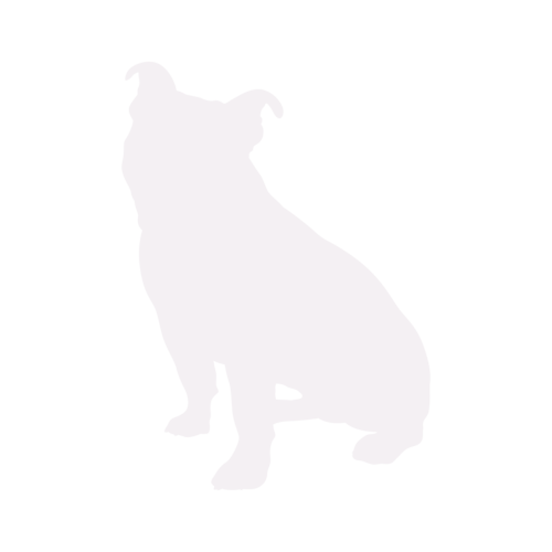 Hondensilhouet Old English Bulldog zittend