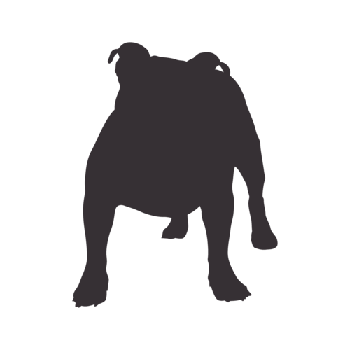 Hondensilhouet Old English Bulldog staand