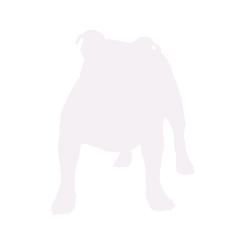 Hondensilhouet Old English Bulldog staand