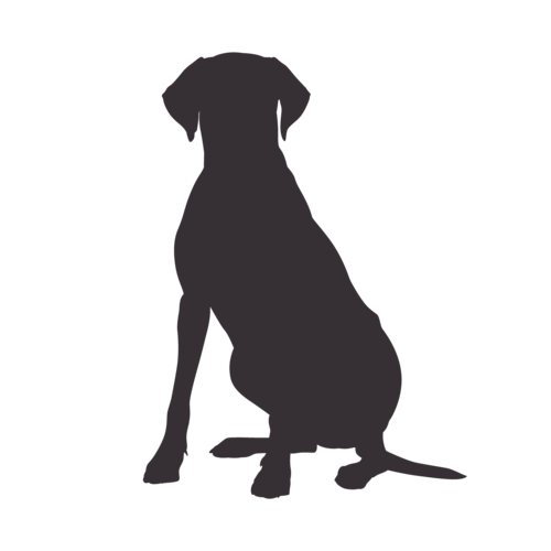 Hondensilhouet Rhodesian Ridgeback zittend