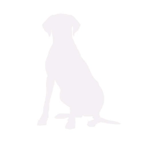 Hondensilhouet Rhodesian Ridgeback zittend