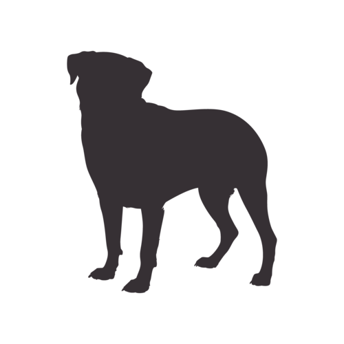 Hondensilhouet Rottweiler staand