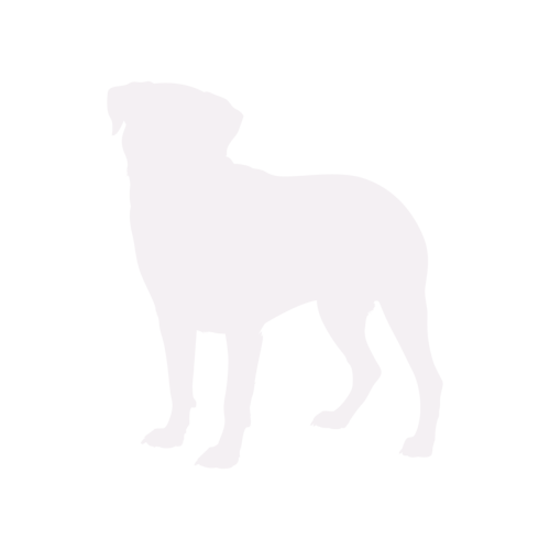 Hondensilhouet Rottweiler staand