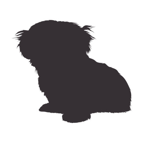 Hondensilhouet Shih Tzu zittend