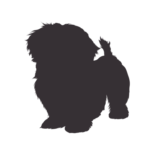 Hondensilhouet Shih Tzu staand
