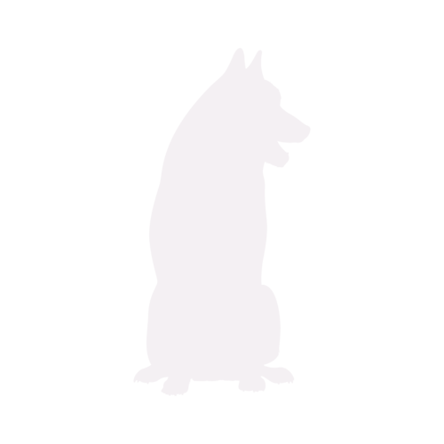 Hondensilhouet Siberische Husky zittend
