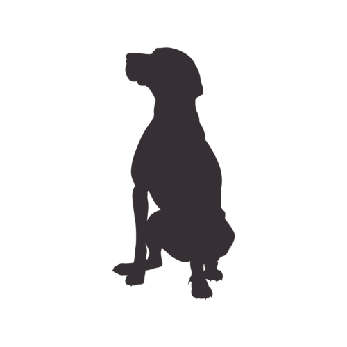 Hondensilhouet Hongaarse Vizsla zittend